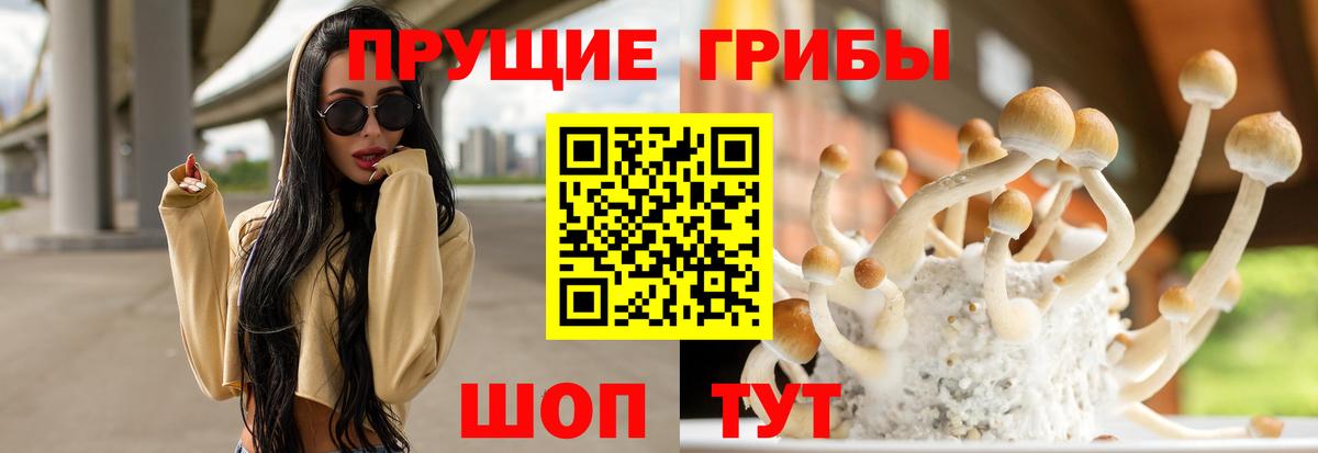 Кумертау  Галлюциногенные грибы MAGIC MUSHROOMS  Псилоцибиновые грибы MAGIC MUSHROOMS  Вход с VPN 